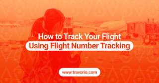How to Track Your Flight Using Flight Number Tracking