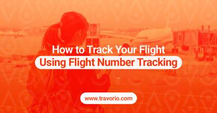 Track Your Flight