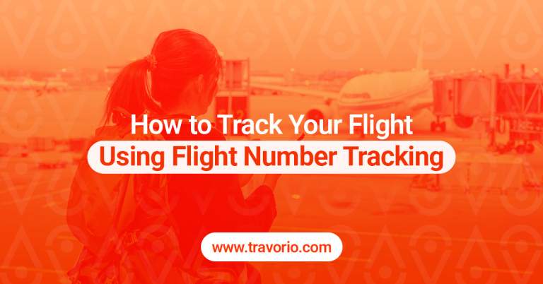 How to Track Your Flight Using Flight Number Tracking