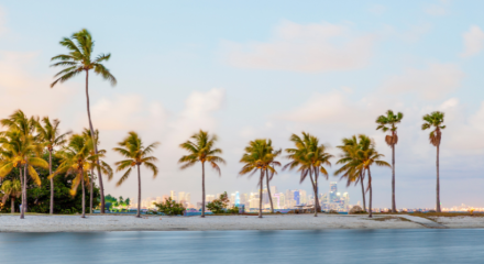 cheap flights to florida