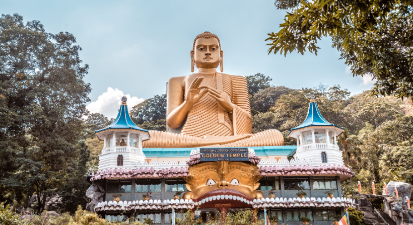 How to Find the Best Hotels in Dambulla with Travorio