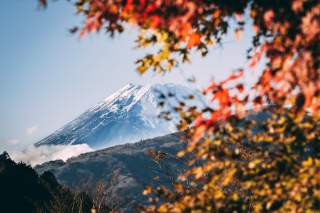 California to Japan Flight Guide: Time, Airlines, Best Months & Prices