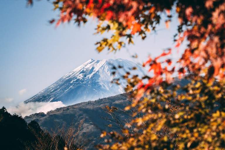 California to Japan Flight Guide: Time, Airlines, Best Months & Prices