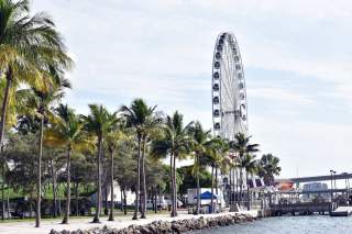 Events in Miami: Travel and Booking Guide