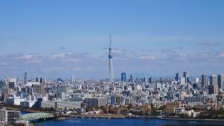 Events in Tokyo: Travel and Booking Guide