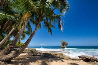 Where to Stay in Costa Rica: Best Areas, Hotels & Travel Guide