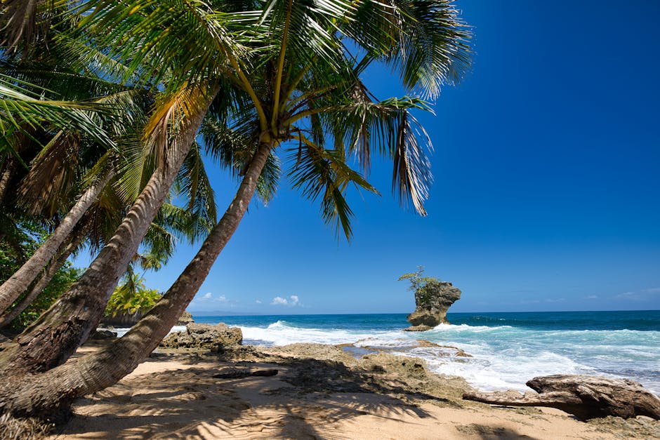 Where to Stay in Costa Rica: Best Areas, Hotels & Travel Guide