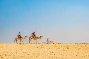 Travelers experience a serene camel ride in the sunlit Cairo desert landscape.