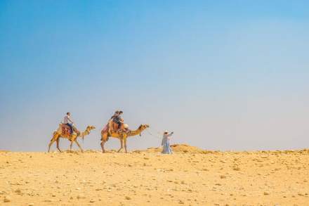 Travelers experience a serene camel ride in the sunlit Cairo desert landscape.