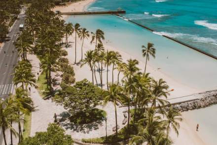 Breathtaking aerial view of Waikiki Beach showcasing palm trees and turquoise waters in Honolulu, Hawaii.