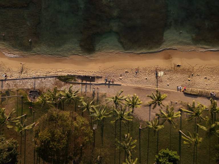 New York to Hawaii Flight Guide: Time, Airlines, Best Months & Prices