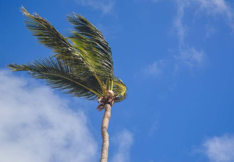 New York to Punta Cana Flight Guide: Time, Airlines, Best Months & Prices