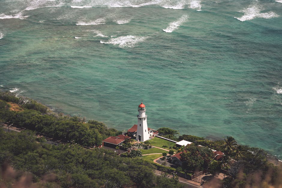 Seattle to Hawaii Flight Guide: Time, Airlines, Best Months & Prices